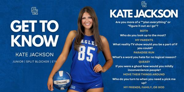 Volleyball Social Media Graphics, photo 3