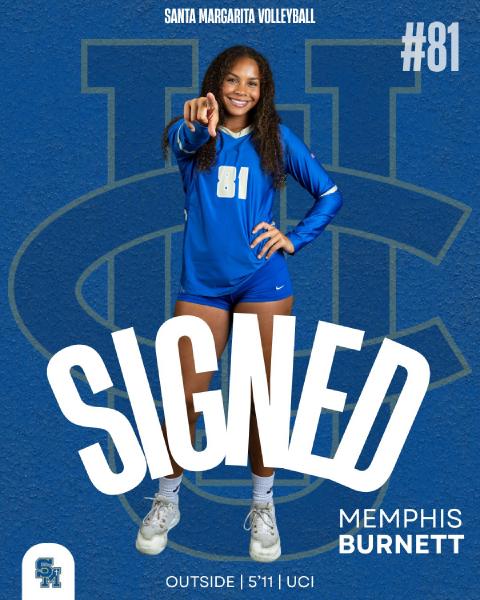 Volleyball Social Media Graphics, photo 8