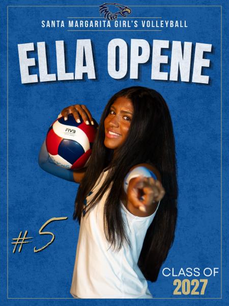 Volleyball Social Media Graphics, photo 10